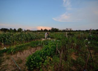 Zagreb će dobiti terapijski ubrani vrt za osobe s poteškoćama!