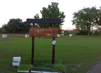 Želite uzgojiti vlastito voće i povrće, a nemate gdje? Javite se za svoj dio Gradskih vrtova