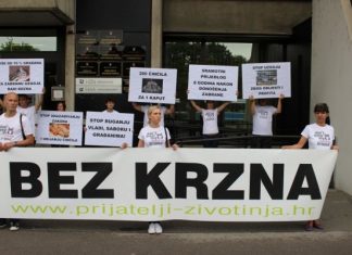 PRIJATELJI ŽIVOTINJA PORUČILI MINISTRU JAKOVINI: ‘Ne unazađujte Zakon o zaštiti životinja’