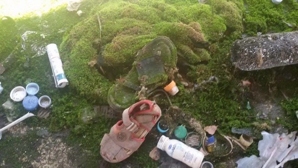 11911060_1470977046562438_1519343087_n