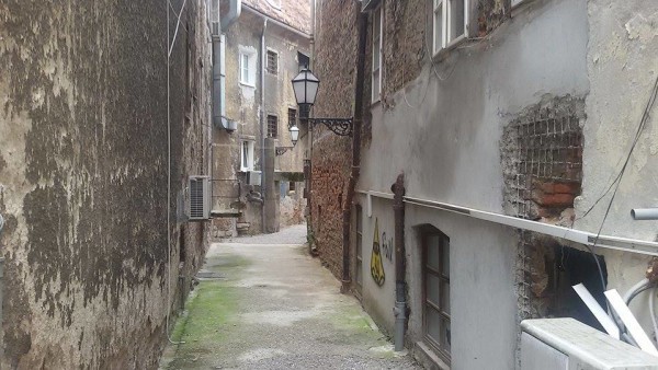 11920292_1468707410122735_979470616_n