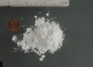 PALA DVOJICA DILERA: KOKAIN dilali iz sobe HOTELA WESTIN