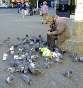 12243996_10206565600113312_1630602313_n