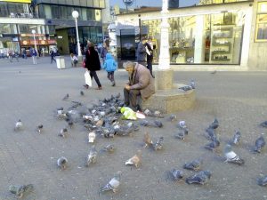 12248825_10206565601473346_108051833_n