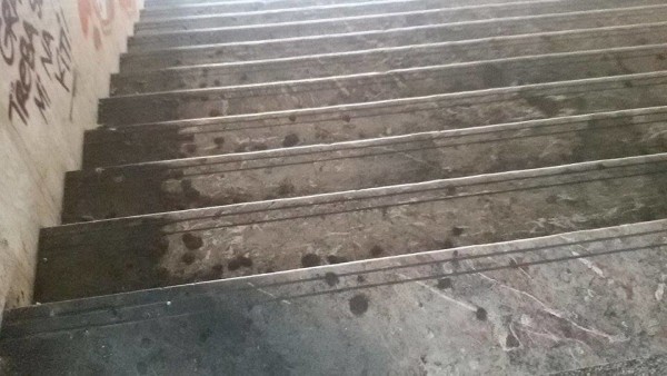 11749638_1440873846239425_1046063840_n-e1437468637430