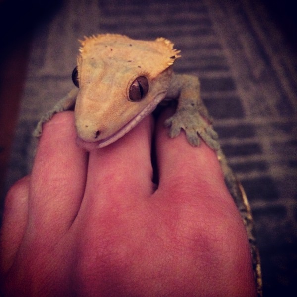 Privatna fotografija