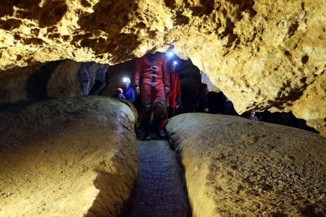 13293322_10205809055536835_1445798623_n