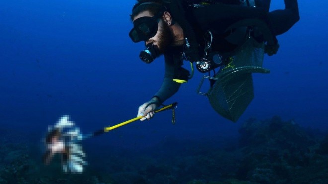 13548882_10154459877978254_704041341_o