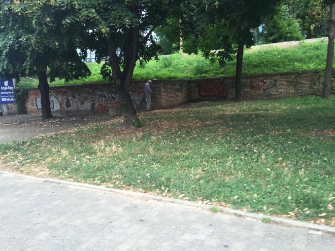 13621515_10154539090218254_974747373_o