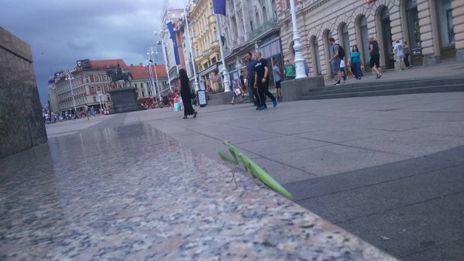 13895259_10154537698708738_8845850627521143812_n