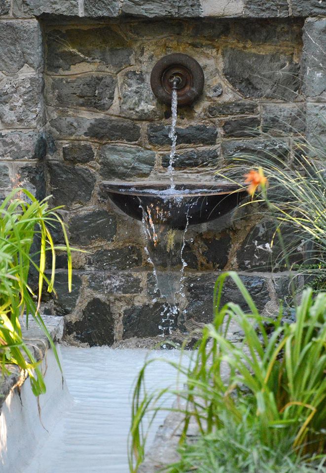 13895515_1044130722345733_871873291524486887_n