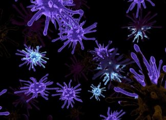 PRIJETI NAM EPIDEMIJA OPAKE BOLESTI! Znanstvenici upozoravaju na katastrofalne posljedice