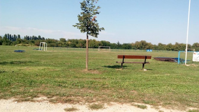 14115601_10207432345826192_6411234011489481943_o