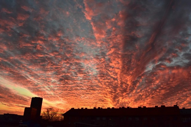 Zakaj volim Zagreb/ Jasna Brkić