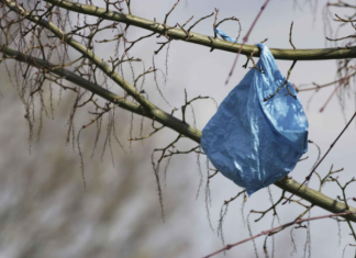 S prvim danom nove godine na snagu stupa zabrana vrećica! U toj su se skupini našle i neke biorazgradive