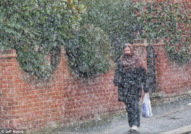 article-2303959-1915C0CB000005DC-589_634x443