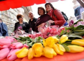 ‘Omiljeni cvijet Ane Rukavine’ u subotu u cijeloj Hrvatskoj