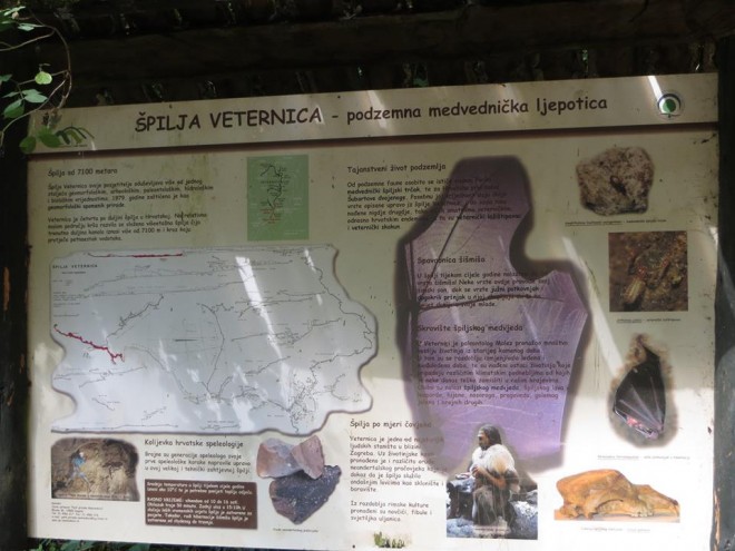 Veternica