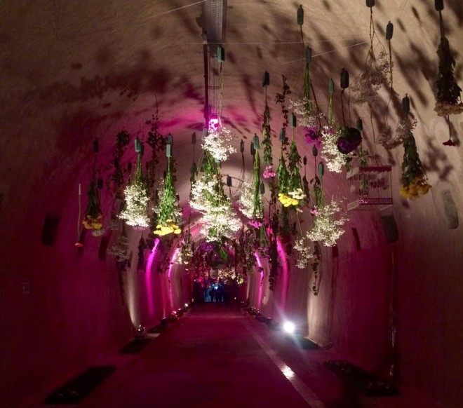 18423899_1288331954555142_3420610533638602400_n