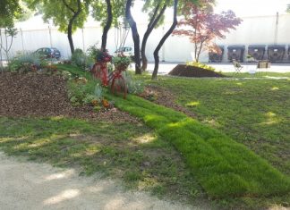 Besplatno poletite balonom na Floraartu, a pogledajte i što vas još čeka za nula kuna