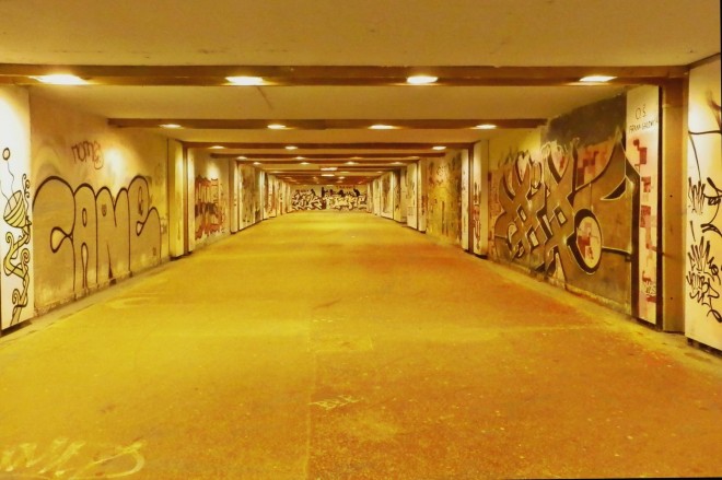 10494921_681372875231571_5804834993812447519_o