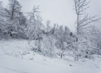 (FOTO) Pogledajte idilične prizore: Pao prvi snijeg, zabijelila se Medvednica
