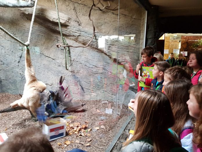 Gibon Kent predviđa