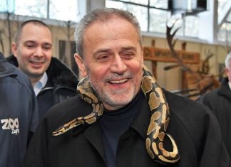 Stranka Milana Bandića ima izgledne šanse dobiti mandat u EU parlamentu