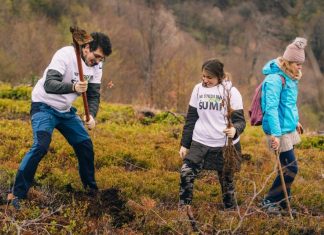 Na dvije zone Parka prirode Medvednica održana dobrovoljna akcija sadnje 10.000 sadnica drva bukve