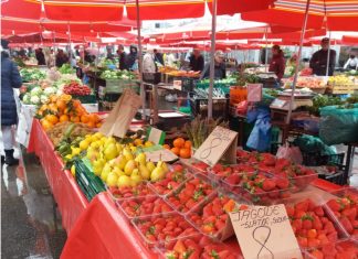 OPREZ! Kreće sezona jagoda, a inspektori upozoravaju: ‘Ako ovo primijetite na njima, odmah nam javite’