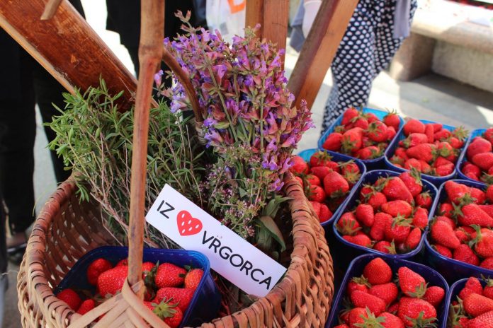 60352432_2137130059914411_6582942554067566592_o