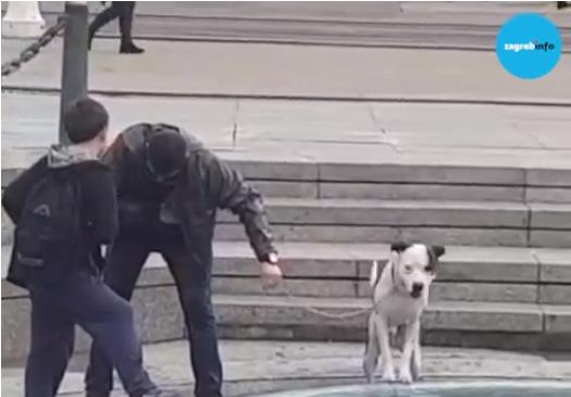 capture_20190527170149