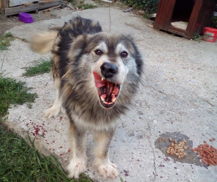 65306572_2208439242567273_2039251670436675584_n