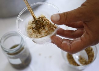 KUKCI ZA JELO! Poznati kuhar pripremao jela s kukcima i insektima!