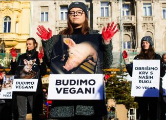 DRAMATIČNA SCENA U CENTRU ZAGREBA: Fotografijama i krvavim rukama slali poruku!