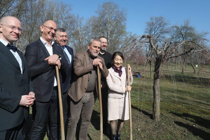 bundek_japan3-050320