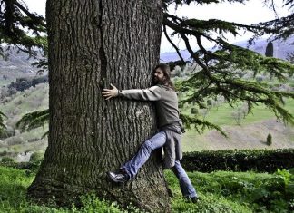 Stručnjaci poručuju: Evo što trebate napraviti ukoliko se osjećate usamljeno!