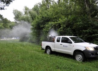 Zagrepčani muku muče s komarcima i pitaju se kad će zaprašivanje: ‘Užas! Čim izađem iz stana odmah me ubodu’