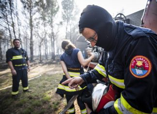 POŽAR NA NAJVEĆEM HRVATSKOM OTOKU: Vatra se opasno približila kućama!