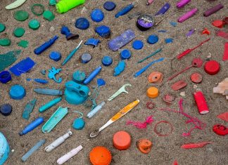 Znanstvenici s Ruđera razvili model procjene utjecaja progutane plastike na rast i razvoj morskih organizama!