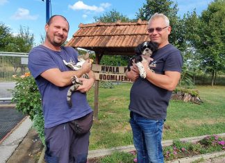 AZIL DUMOVEC OBORIO REKORD! U jednom danu udomljeno je 10 životinja!