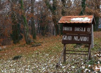 grad mladih