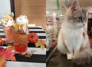 U ovome kafiću pronaći ćete najfinije tople napitke i provesti najmaznije trenutke