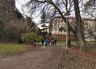 VIĐEN VUK U PARKU RIBNJAK: Saznali smo što on tamo radi!