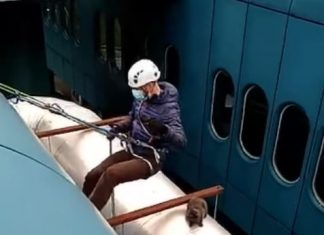 (VIDEO) Liječnik se popeo na krov KB Dubrava i spasio mačku: ‘Hvala na velikom srcu’