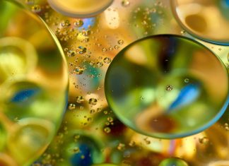 OPREZ! Ministarstvo poljoprivrede povlači ovo ulje s polica trgovina, nemojte ga koristiti