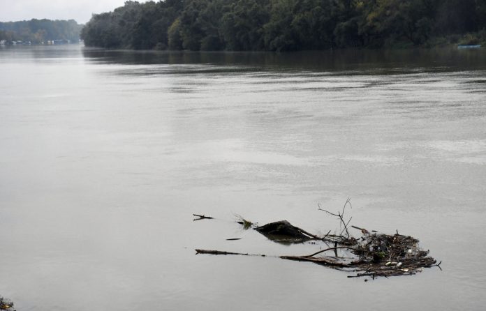 Slavonski Brod: Savom u porastu plutaju velike količine smeća koje se zadržava uz obalu
