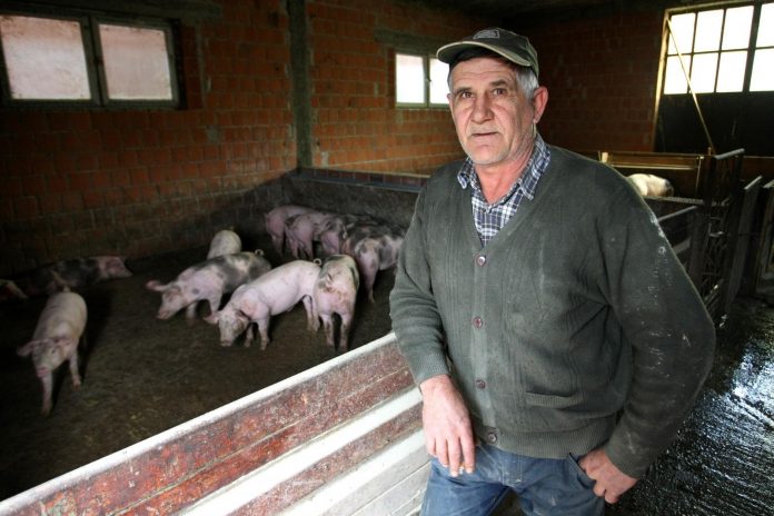 jakuševac uzgajivači