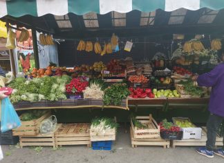 ČEKA NAS TEŠKA JESEN: Cijene užasno luduju! Zeleni grah košta 50 kuna, a ulje čak 17 kuna!