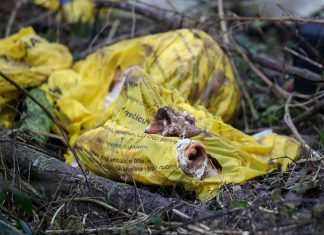 Strategija upravljanja otpadom u Hrvatskoj stara je 17 godina: Građani nisu educirani, imamo neodrživ model